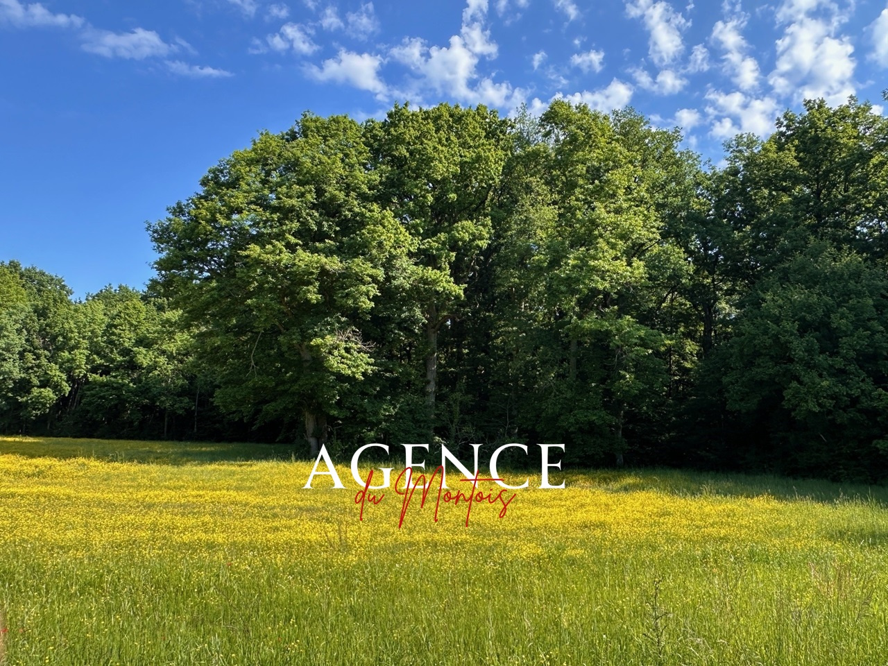 Photo bien immobilier