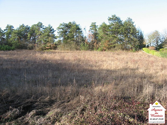 Terrain à bâtir